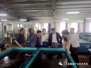 日韓專家訪問江蘇省淡水水產(chǎn)研究所揚中基地，共促水產(chǎn)技術(shù)交流與合作